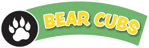 bear cub header