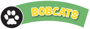 bobcats header