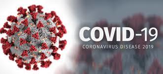 covid 19