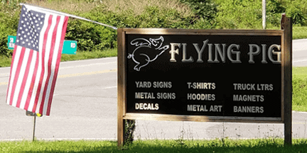 flying pig image