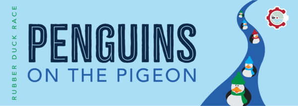 penguins on pigeon web event