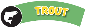 trout header